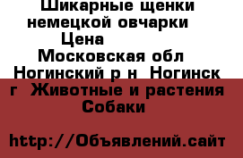 Шикарные щенки немецкой овчарки. › Цена ­ 15 000 - Московская обл., Ногинский р-н, Ногинск г. Животные и растения » Собаки   